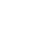 ir-logo-icon-wordmark-solid-b+w-invert1000