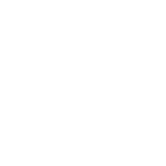 LaserMaster_Wordmark_stacked_white