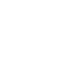 LaserMaster_Wordmark_white